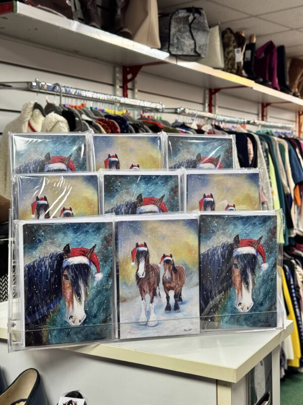 Northcote Charity Christmas Cards - Image 5